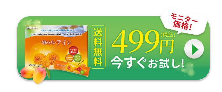 お試し商品ボタン