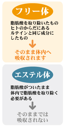 ルテインについて ひとみの専門店 朝のルテイン プラセンタ 公式